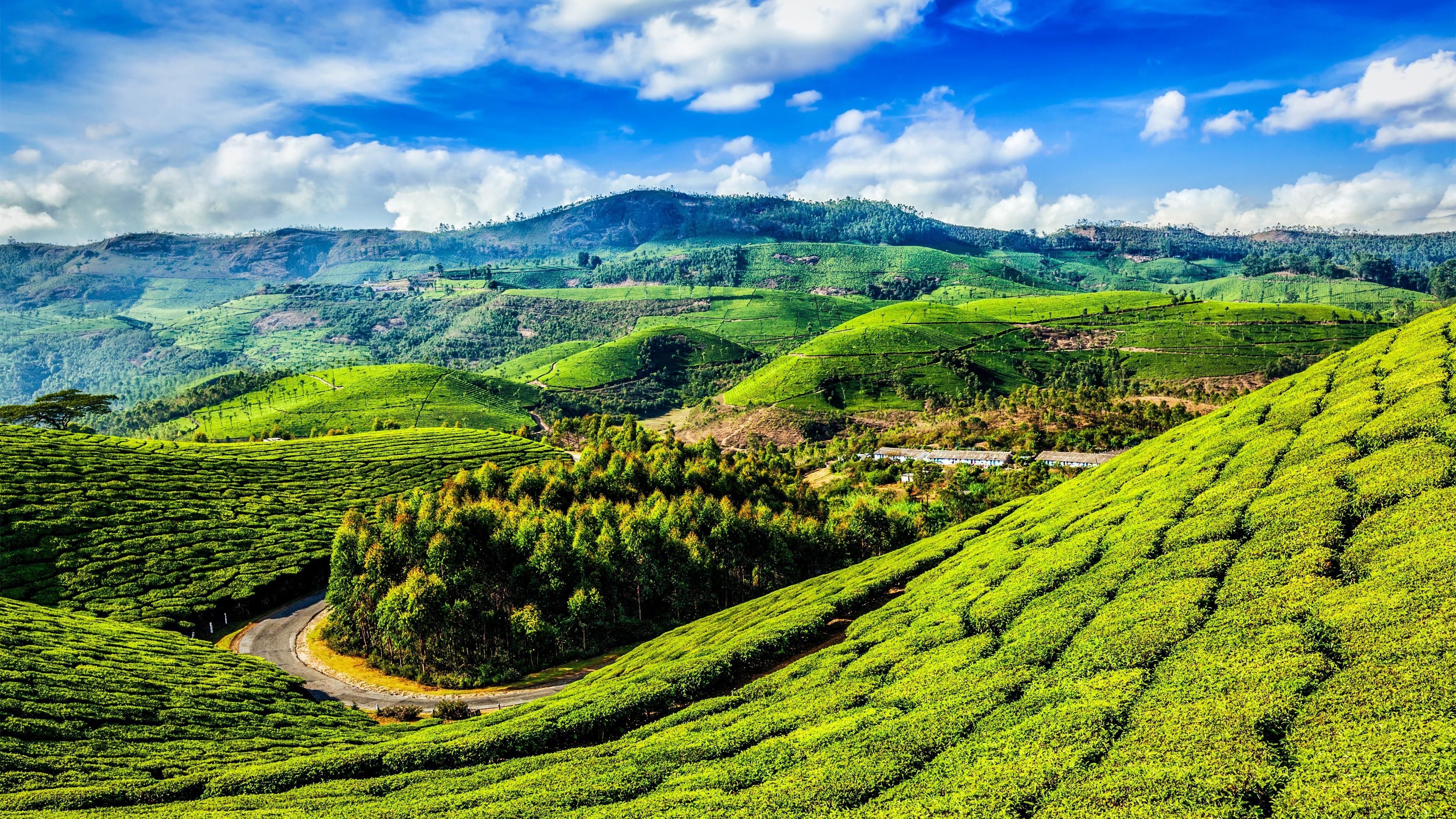 Munnar 02N + Thekkady 01N + Houseboat 01N